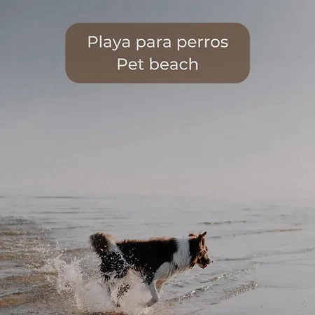 Mango Sorbet Super Central, 3 Desks, High Speed Internet, 3 Bedrooms And 2 Bathrooms Corralejo