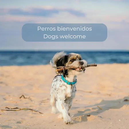 아파트 Mango Sorbet Super Central, 3 Desks, High Speed Internet, 3 Bedrooms And 2 Bathrooms 코라레호