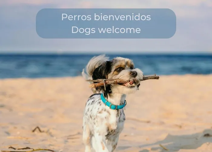 Apartamento Mango Sorbet Súper Central, 3 Desks, High Speed Internet, 3 Bedrooms&2 Bathrooms Corralejo