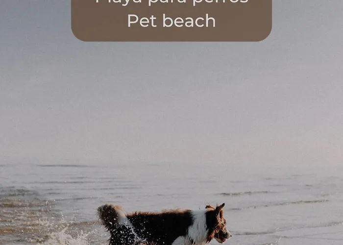 Mango Sorbet Súper Central, 3 Desks, High Speed Internet, 3 Bedrooms&2 Bathrooms Corralejo